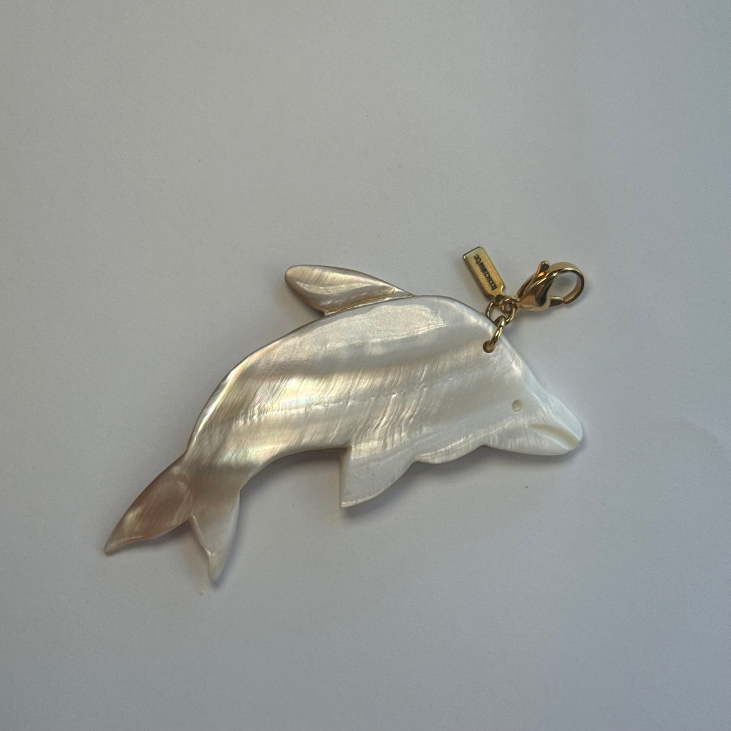 Charm ''DELFÍN DE LA SUERTE''