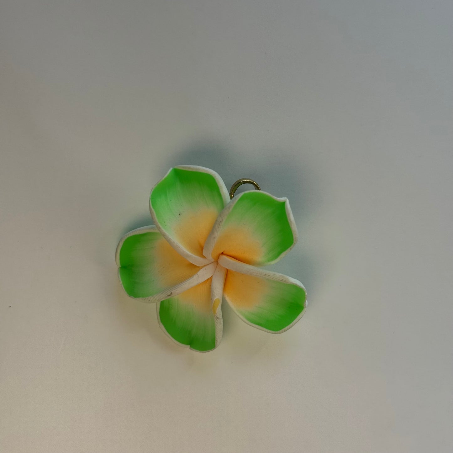 Charm ''HIBIS'' verde