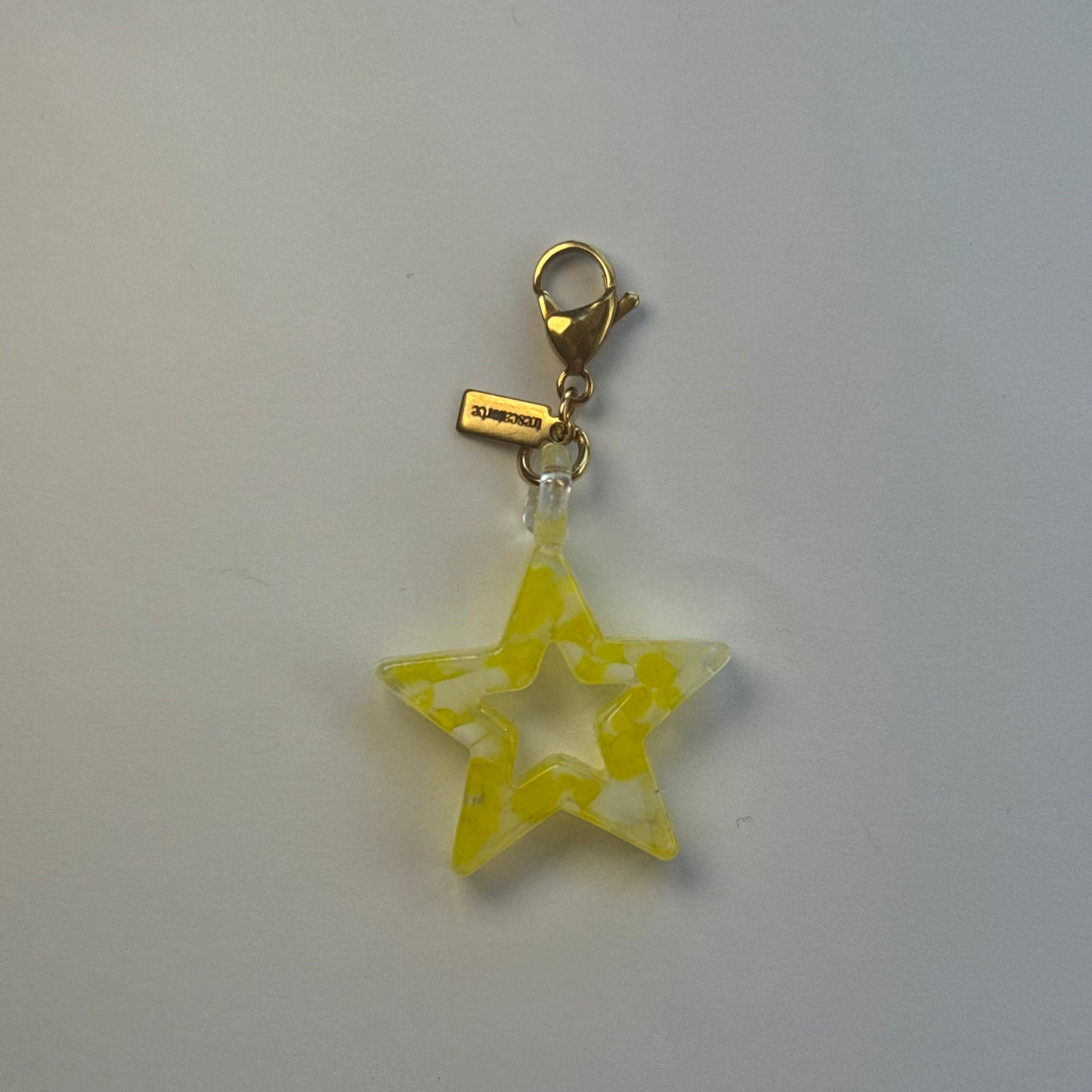 Charm ''FORTUNA''