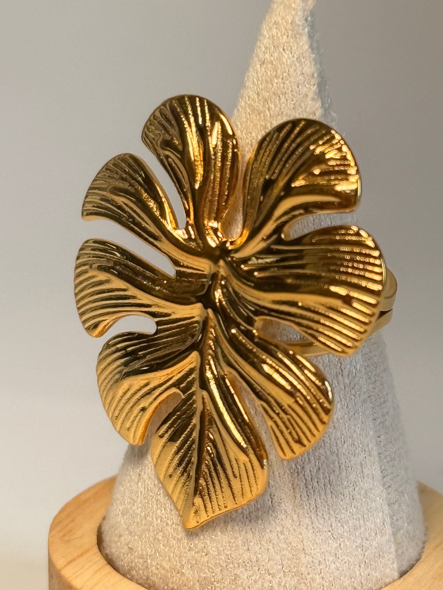 Anillo “SILVESTRE”