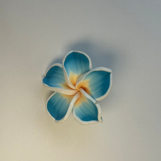 Charm ''HIBIS'' azul