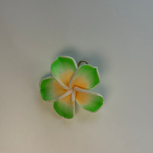 Charm ''HIBIS'' verde