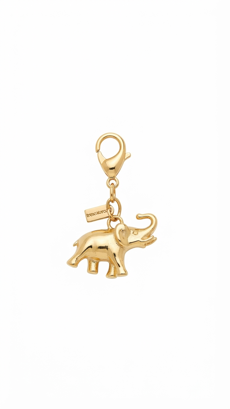 Charm “HODARI”