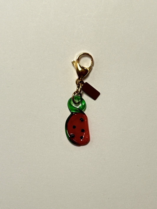 Charm ''SANDÍA ''
