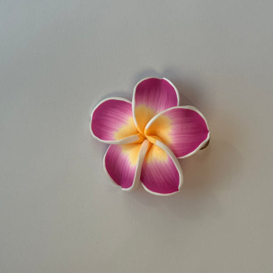Charm ''HIBIS'' fucsia